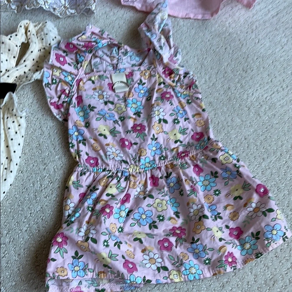 Bundle of Assorted Dog Dresses and Outfits